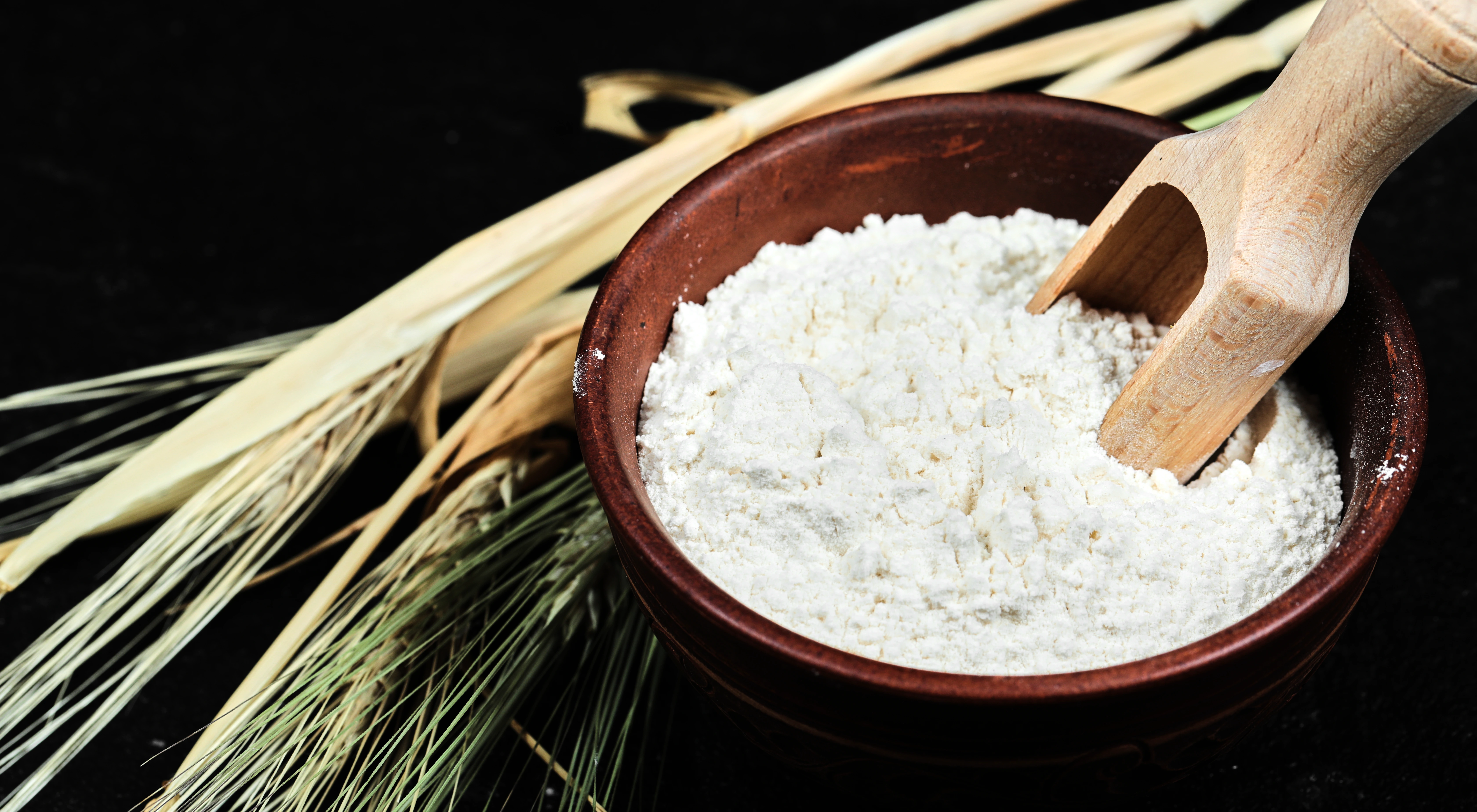 สมุนไพร น้ำนมข้าว 